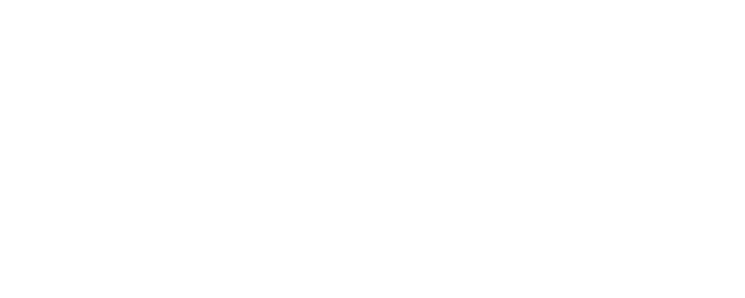 echosaw.com®